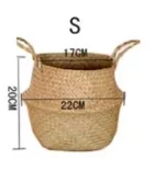 22cm-s