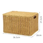 large-size-2
