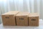 Hand-woven Storage Basket Rattan Storage Tray PP Rattan Basket Bread Fruit Food Breakfast Light Brown With Cover Storage Basket