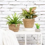 Weaving Flower Plant Pot Plant Pots Seagrass Basket Straw Basket Planter Pot Basket Indoor Outdoor Flower Pot Containers - Image 2