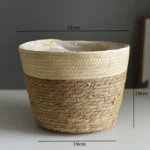 beige-color-l