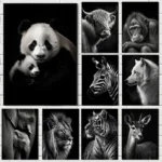 Striking Black & White Animal Canvas Art for Modern Decor