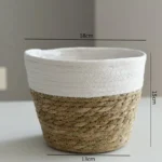 white-s