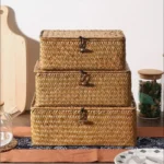 +Handwoven Seagrass Shelf Basket with Lid, Rectangular Desktop Organizer for Makeup & Sundries - Image 4