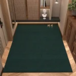 Home Decoration Entrance Doormat Simplicity Solid Welcome Carpet for Living Room Bedroom Antislip Soft Rug Balcony Bathroom Mats - Image 4