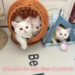 Luxury Fruit Basket Cat Hammock bed Hand Woven Storage Basket Comfortable Heavy Carton Packaging Not Easy To Damage for Pets - Image 2