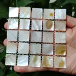 3 PCS Natural Shell Coasters Mother of Pearl Heat Insulation Coaster Decorative Plates, Tea Cup Table mat