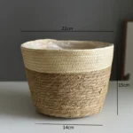 beige-color-m