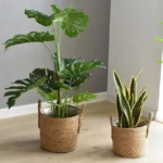 1PC Nordic Handmade Straw Woven Flower Pot Planter Basket Laundry Dirty Clothes Storage Potted Garden Green Plant Flower Holders - Image 3