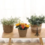 Weaving Flower Plant Pot Plant Pots Seagrass Basket Straw Basket Planter Pot Basket Indoor Outdoor Flower Pot Containers - Image 6