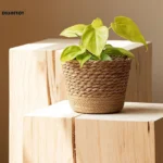 Natural seaweed woven flowerpot Vintage Style Flower Basket Large Capacity Straw Woven Planter for Family Friend Neighbor Gift - Image 3