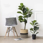 Cotton Rope Plant Basket Large Capacity Hand-Woven Flower Pot Holder Indoor Planter Storage Basket For Store Plants Toys Clothes - Image 4