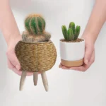 Charming Rustic Rattan Planter With Wooden Legs - Versatile Woven Storage Basket For Indoor/Outdoor Plants & Decor - Image 5