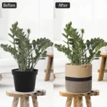 Cotton Rope Plant Basket Large Capacity Hand-Woven Flower Pot Holder Indoor Planter Storage Basket For Store Plants Toys Clothes - Image 3