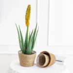 Weaving Flower Plant Pot Plant Pots Seagrass Basket Straw Basket Planter Pot Basket Indoor Outdoor Flower Pot Containers - Image 3