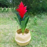 Seaweed Wicker Basket Rattan Hanging Flowerpot Dirty Clothes Storage WF1015 - Image 4