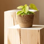 Straw Weaving Flower Plant Pot Wicker Basket Rattan Flowerpot Storage Basket Garden Flowerpot Handmade Woven Planter Basket - Image 5
