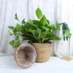 Straw Weaving Flower Plant Pot Basket Grass Planter Basket Indoor Outdoor Flower Pot Cover Plant Containers for Plantable Plants - Image 3