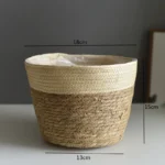 beige-color-s