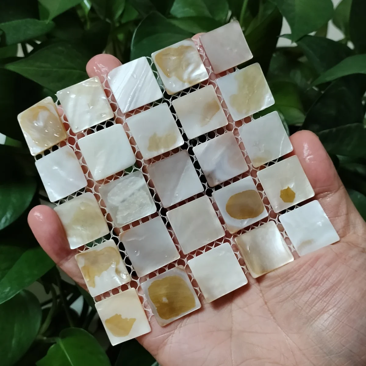 3 PCS Natural Shell Coasters Mother of Pearl Heat Insulation Coaster Decorative Plates, Tea Cup Table mat - Image 2