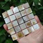 3 PCS Natural Shell Coasters Mother of Pearl Heat Insulation Coaster Decorative Plates, Tea Cup Table mat - Image 2