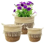 Pastoral style straw flower pot hand-woven flower basket Nordic living room interior decoration simulation tiger skin orchid gre - Image 4