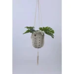white-1pcs