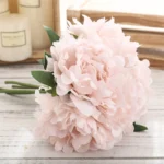 light-pink