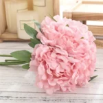 deep-pink
