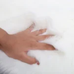 Living Room Fur Carpet Plush Soft Sheepskin Floor Mats Modern Home Decor Bedroom Blankets Imitation Wool Pad White Rugs Doormat - Image 4