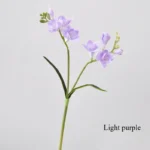 light-purple