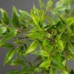 75-140cm Tall Artificial Nandina Plants Fake Tropical Palm Branches Plastic Green Bamboo Leaves For Home Garden Office Decor - Image 6