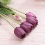 deep-purple