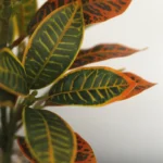 Lifelike 30 cm Tropical Banyan Tree - No-Water Greenery Delight - Image 5