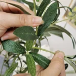 120-180CM Artificial Olive Tree Branch Without Pot Modern Minimalist Fake Plant for Home garden Living Room Balcony shops Decor - Image 7