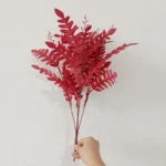 length-50cm-202135822