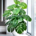 60-103cm Artificial Monstera deliciosa Pothos Alocasia Leaf Fake Plant Ornamental Festive Home Office Decoration