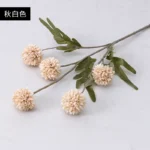 autumn-white