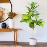 76-135 cm（53.1in）Artificial Magnolia Tree Rubber Fig Plants for Outdoor Patio Garden Balcony Indoor Home And Office Decorations
