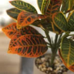 Lifelike 30 cm Tropical Banyan Tree - No-Water Greenery Delight - Image 3