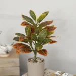 Lifelike 30 cm Tropical Banyan Tree - No-Water Greenery Delight