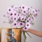 light-purple