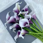 lt-purple