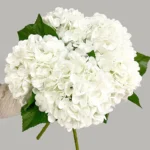 Lifelike Real Touch Hydrangeas - Elegant Decor for Any Occasion - Image 4