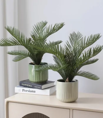 &Bull; Kf Sbd2A18Cf642A4Ea1803Fa6E9D0Cf47477 &Bull; Oasin