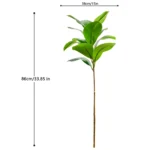 yly1-1c-86-z1