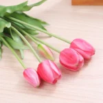 rose-red