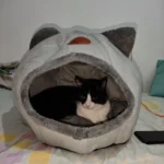 Cozy Cotton Cat Cave: Ultimate Winter Pet Bed Retreat photo review