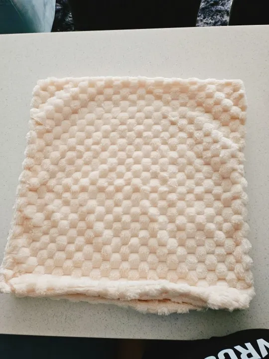 Cozy Cream Pineapple Turtle Plush Pillowcase for Home Decor photo review