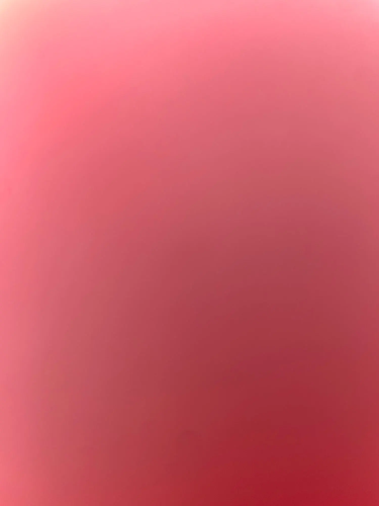 Cozy Cream Pineapple Turtle Plush Pillowcase for Home Decor photo review